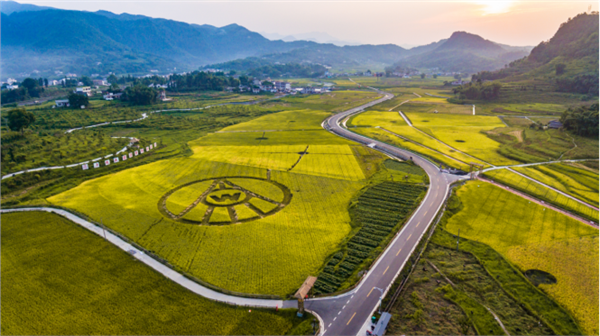 五粮液：牢记“国之大者” 践行国企担当 酿有温度的美酒
