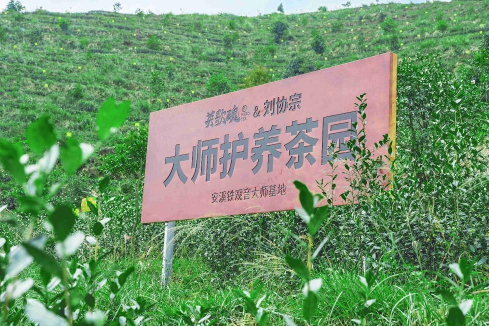 英歌魂，潮汕工夫茶与新中式的碰撞