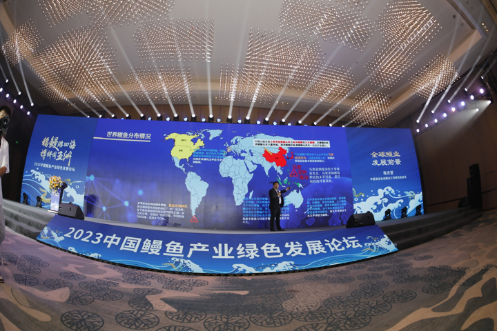 国“鳗”品牌崛起，品尝“鳗”妙滋味，2023中国（福清）鳗鱼节盛大开幕
